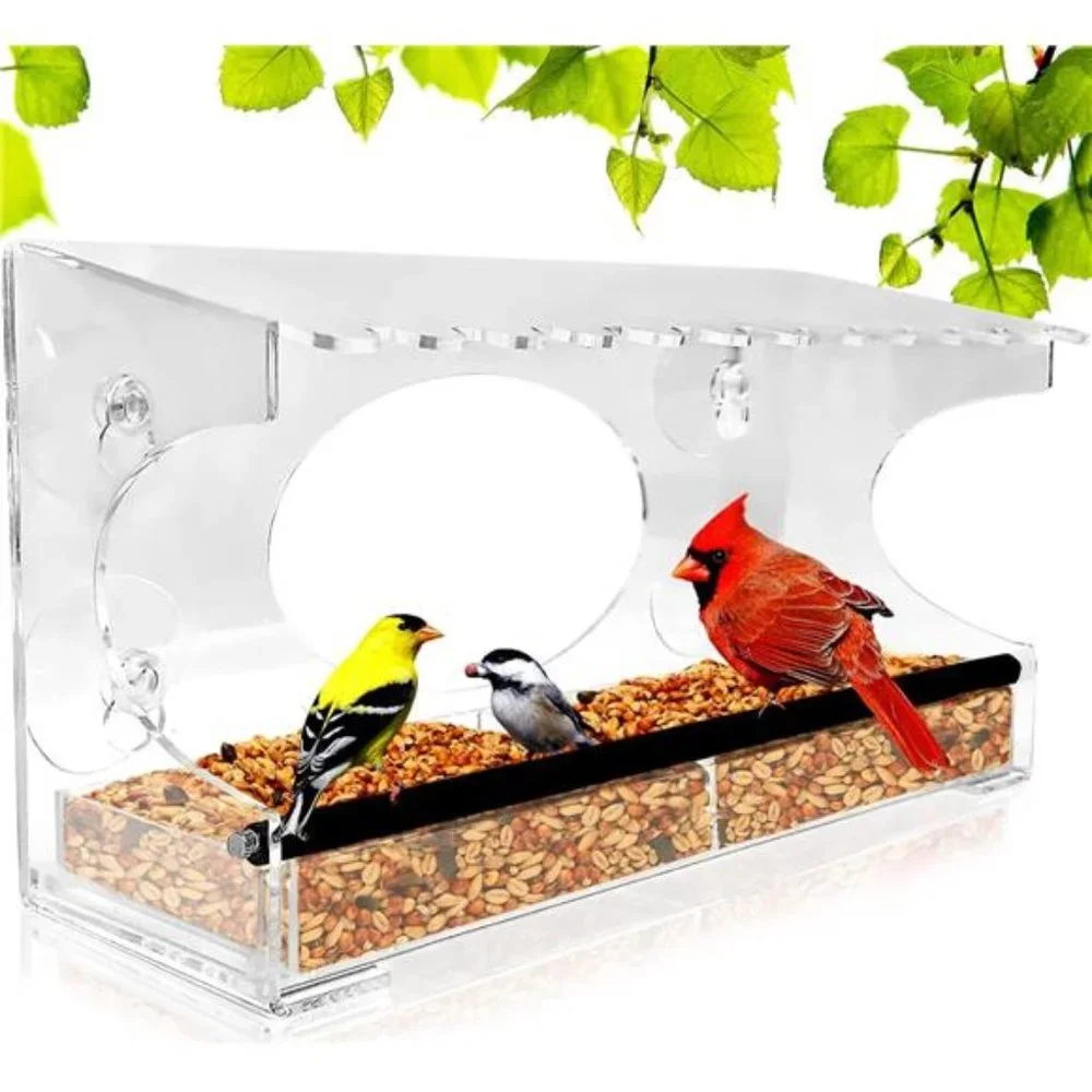 Large Clear Window Bird Feeder - Extended House with Strong Suction Cups - Steel